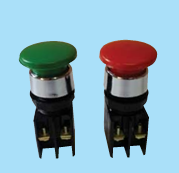 Mantar Buton Kutu (10 Adet)