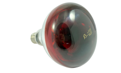 250 Watt Şeffaf Isı Ampulü